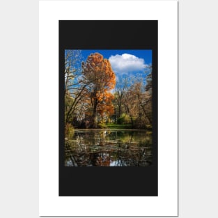 Pond, beautiful fall colors Posters and Art